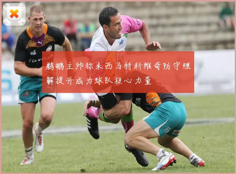 鹈鹕主帅称米西马特科维奇防守理解提升成为球队核心力量