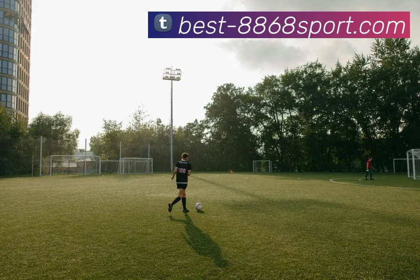 8868体育发展历程